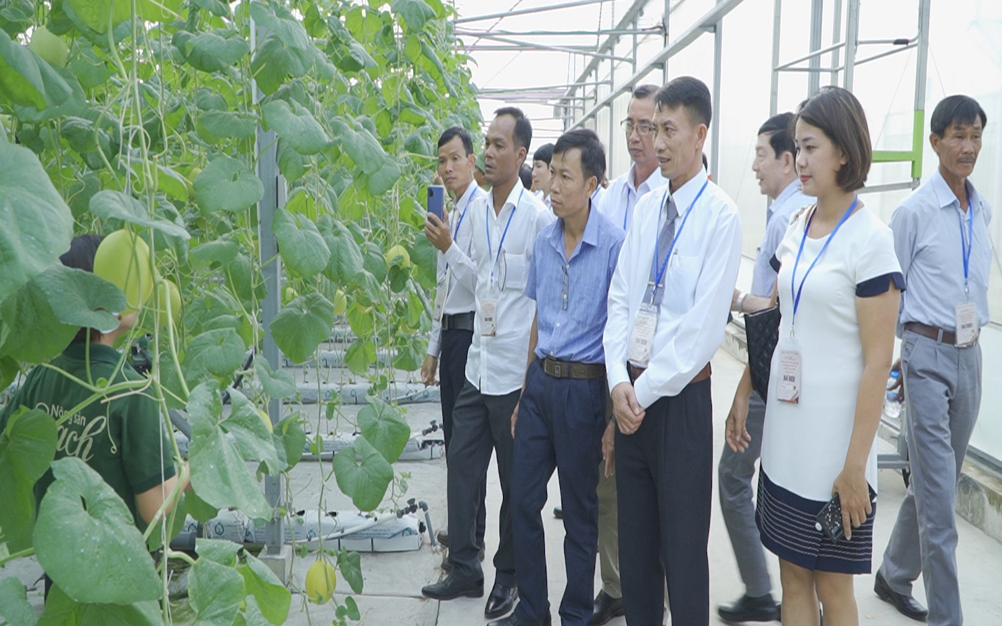 63 “siêu” nông dân hội tụ học tập mô hình công nghệ cao tại Nông trường VinEco Hải Phòng