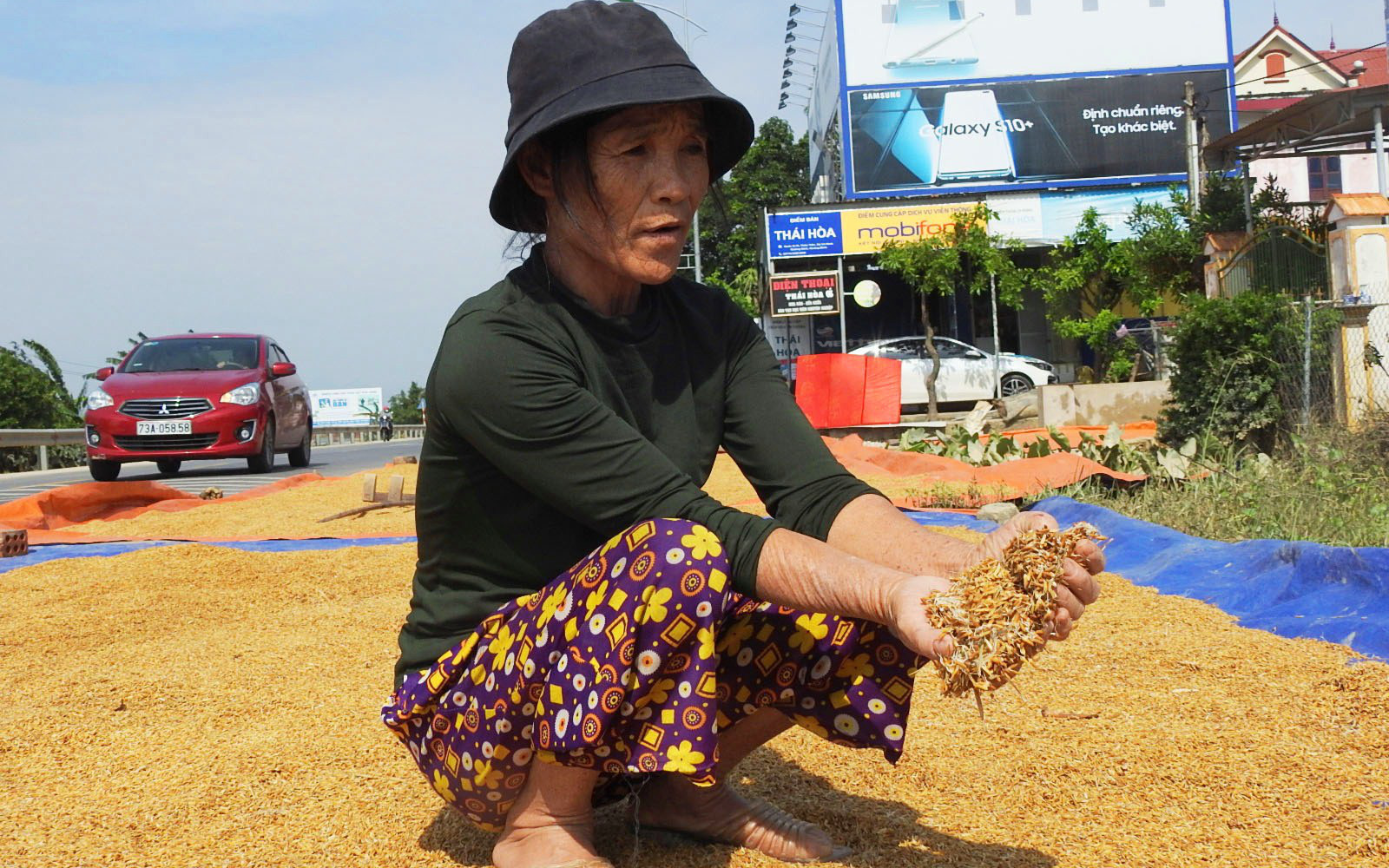 Quảng Bình: Người dân vùng lũ khóc ròng trước hàng nghìn tấn thóc giống đóng thành bánh, vón cục nảy mầm