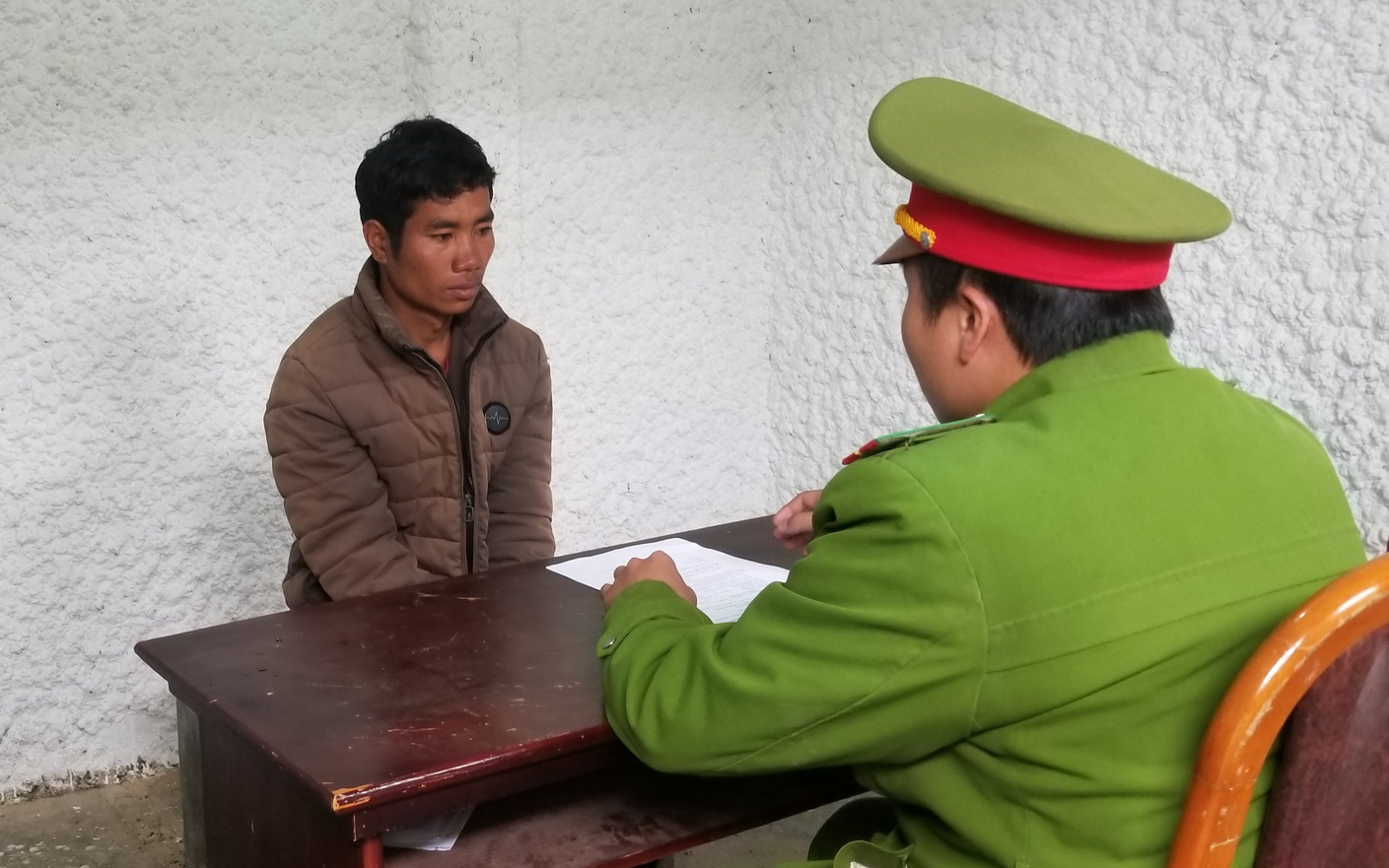 Lâm Đồng: Bắt tạm giam 1 đối tượng trong vụ cưa hạ hàng trăm cây thông tại tiểu khu 132