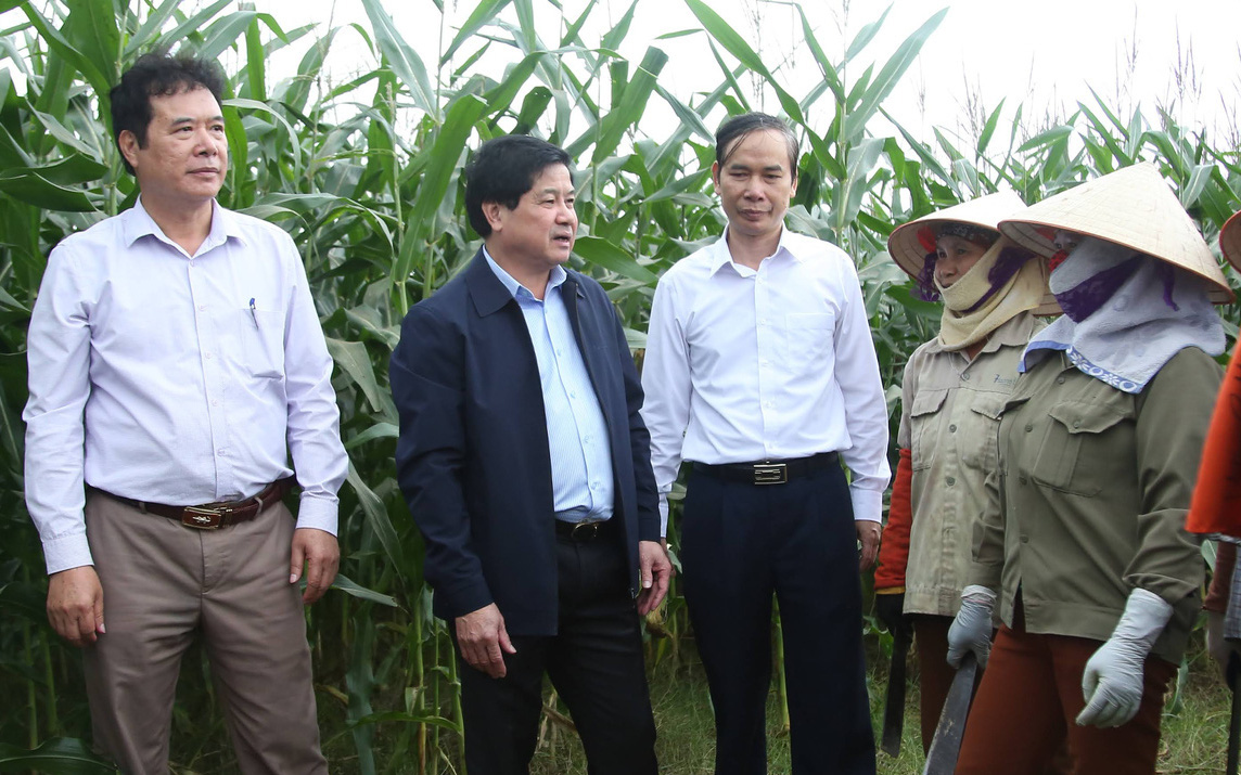 Video: Thứ trưởng Bộ NN&PTNT Lê Quốc Doanh thăm mô hình sản xuất ngô sinh khối tại Vĩnh Phúc