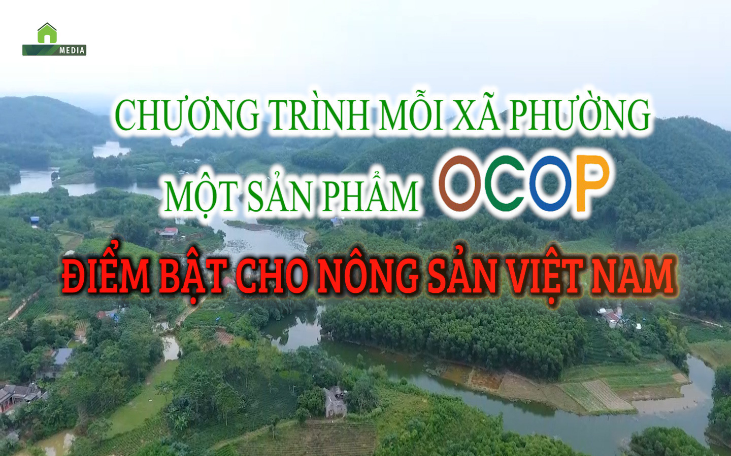 Chương trình mỗi xã, phường một sản phẩm OCOP: Điểm tựa cho nông sản Việt