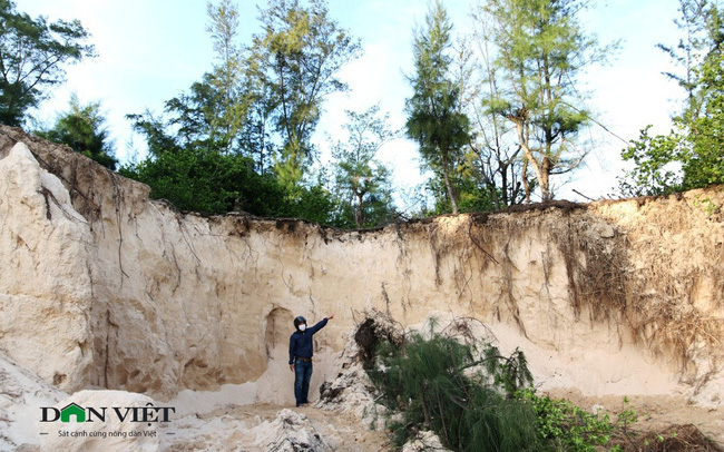 Video: Rầm rập đoàn xe khai thác cát trái phép ở rừng phi lao phòng hộ Ninh Thuận