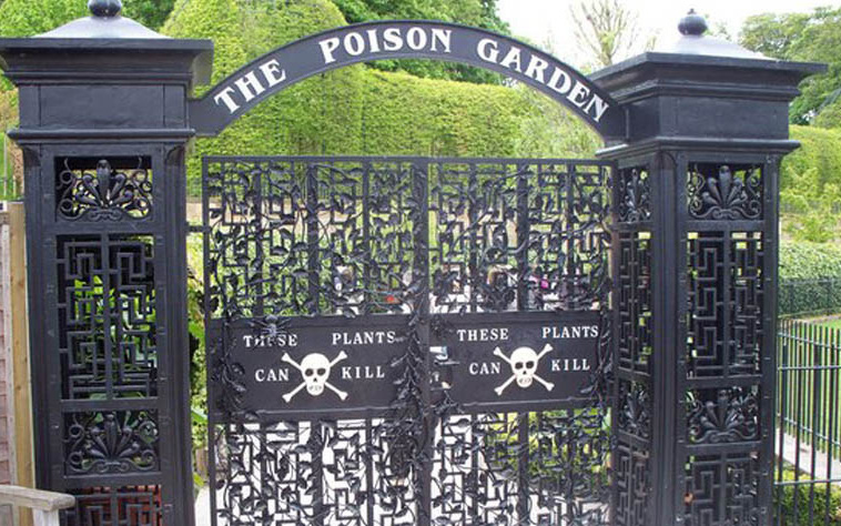 Có gì bên trong "Vườn Độc Dược", nơi nguy hiểm bậc nhất nước Anh?
