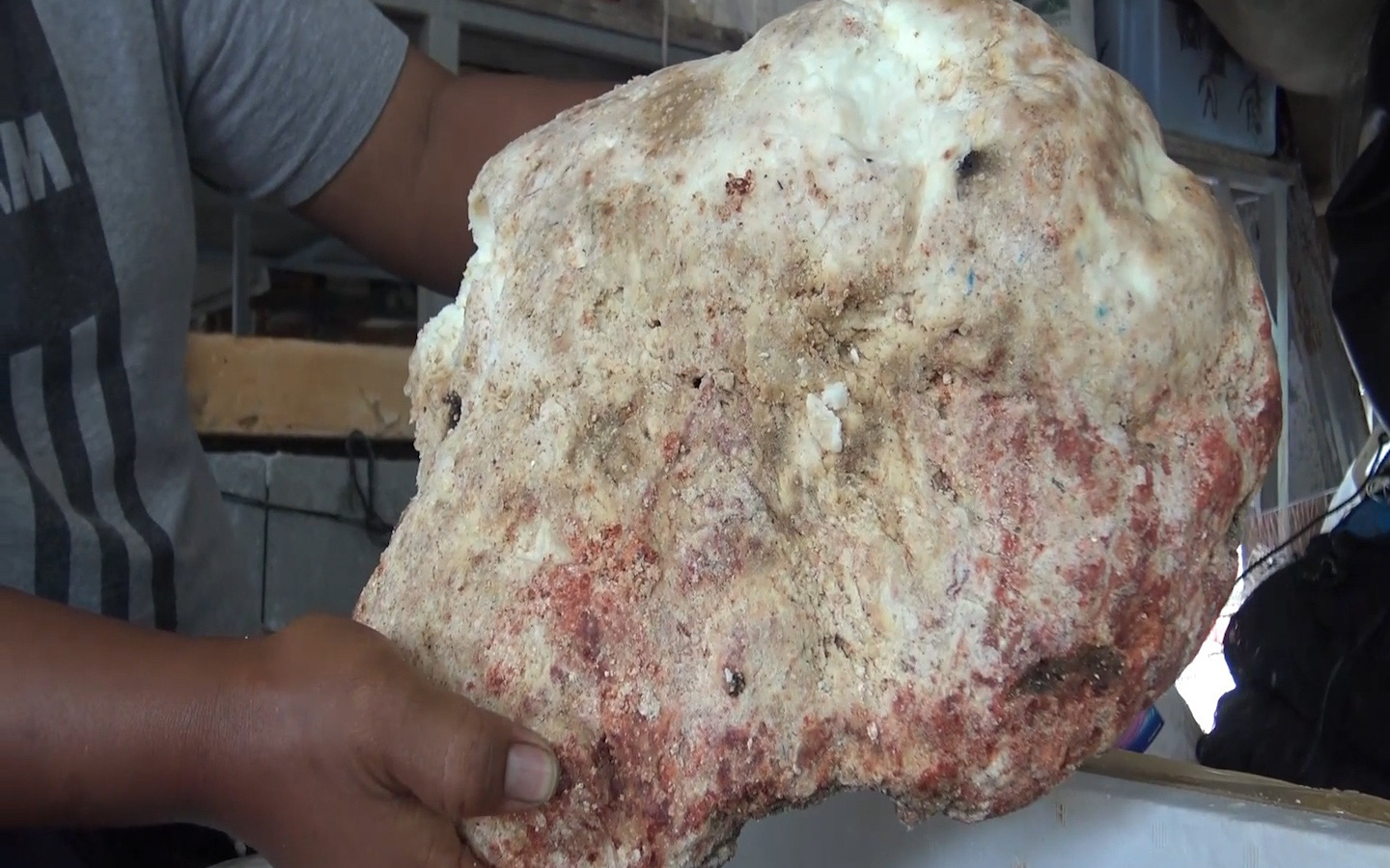 Ngư dân Thái Lan tìm thấy miếng "long diên hương" nặng 7kg giá 230.000 USD