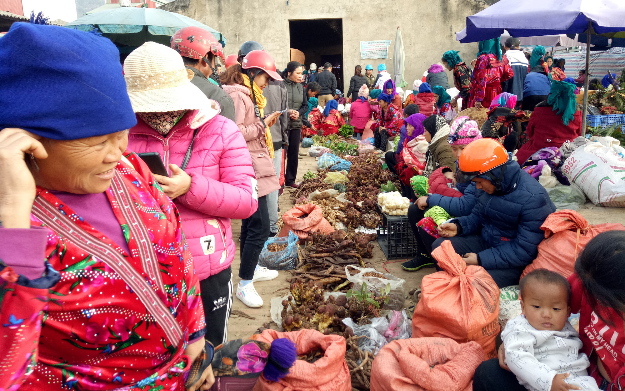 Điện Biên: Lợn cắp nách, gà đen đặc sản và vô số sản vật núi rừng bán ở chợ phiên Tủa Chùa