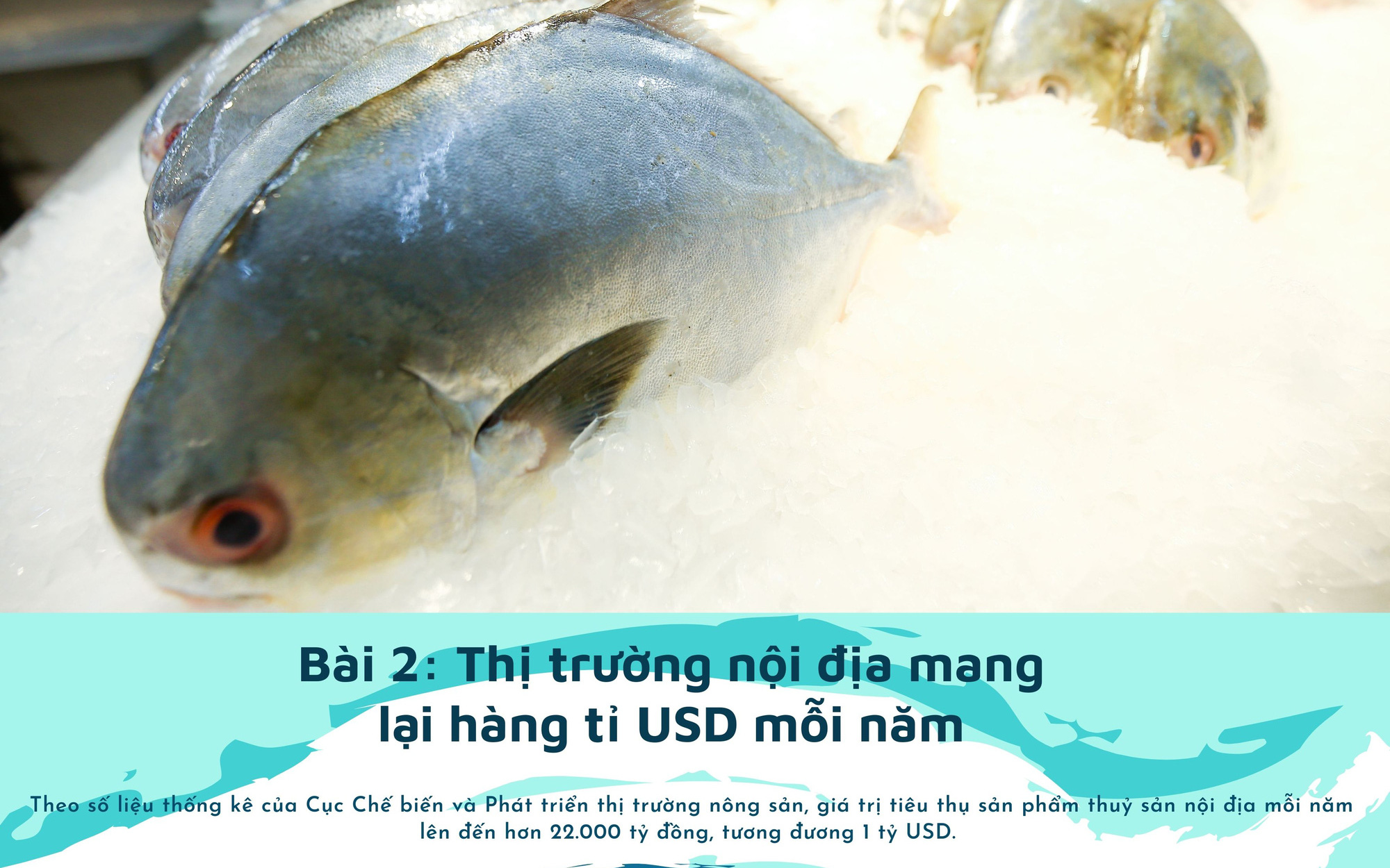 Thị trường nội địa mang lại hàng tỉ USD mỗi năm cho ngành chế biến thủy sản, đang bị "lãng quên"