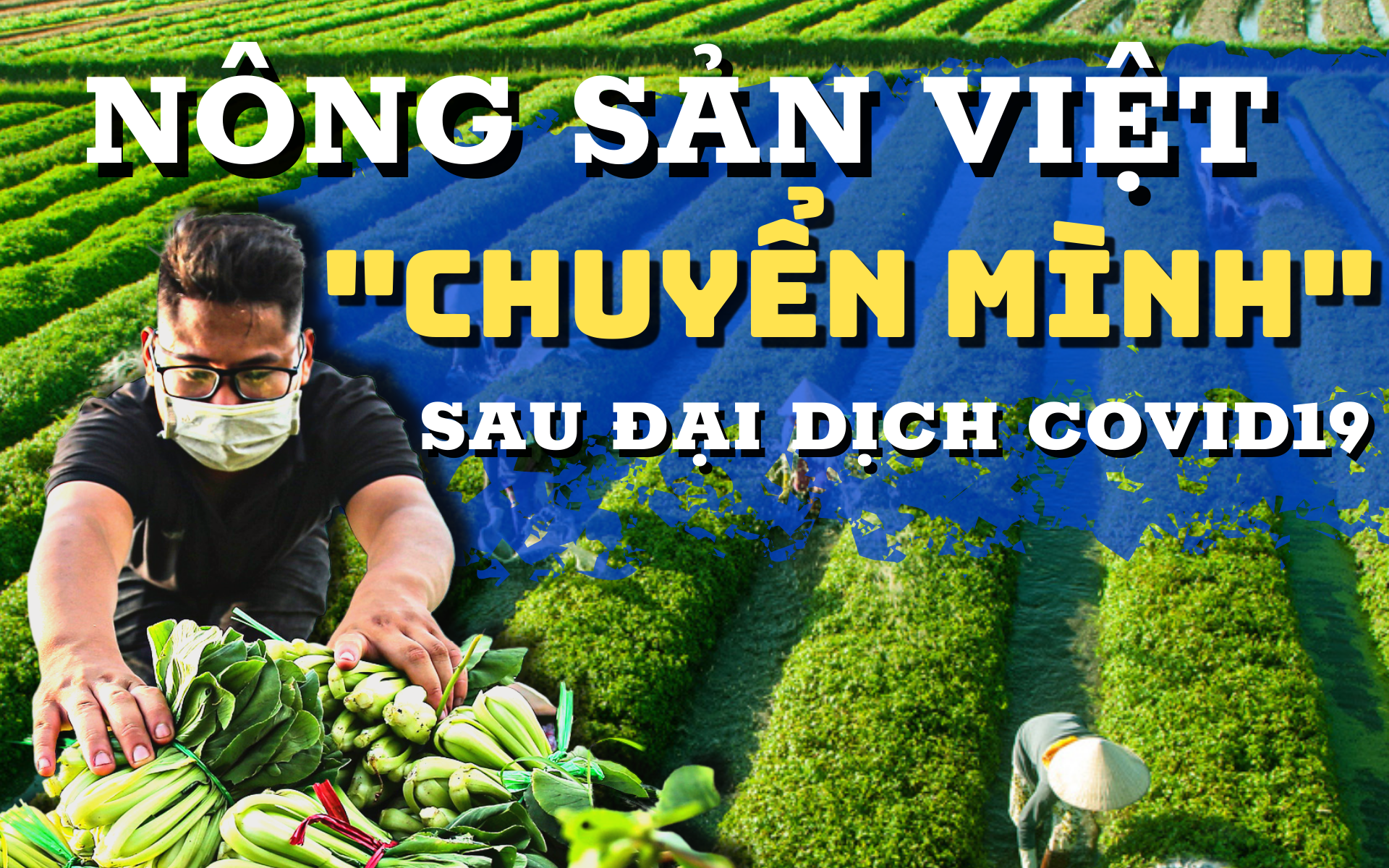 Toàn cảnh bức tranh nông sản Việt “chuyển mình” sau đại dịch Covid-19