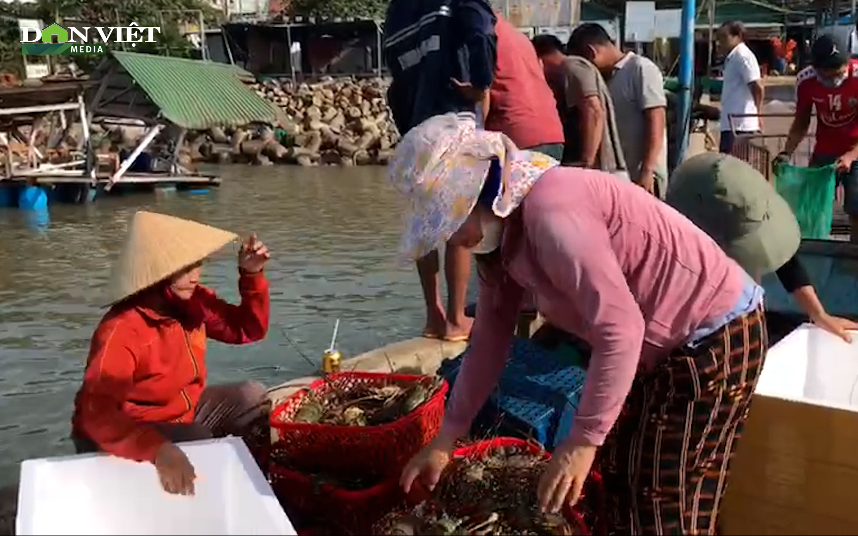 Hậu bão số 9: Ngư dân Khánh Hòa bất ngờ "trúng đậm" thủy sản
