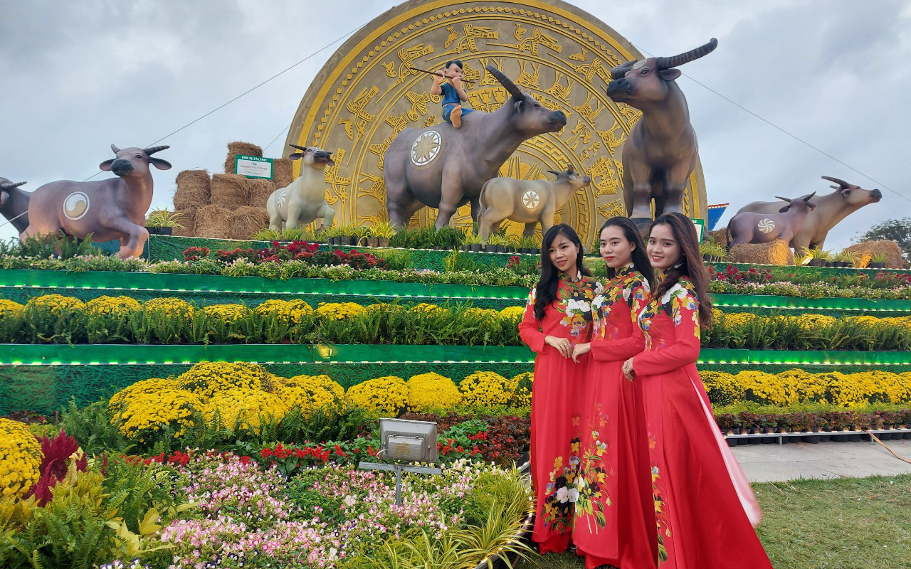 Gia đình trâu cao 7,5m xuất hiện ở tỉnh Bình Định đón Tết Tân Sửu 2021
