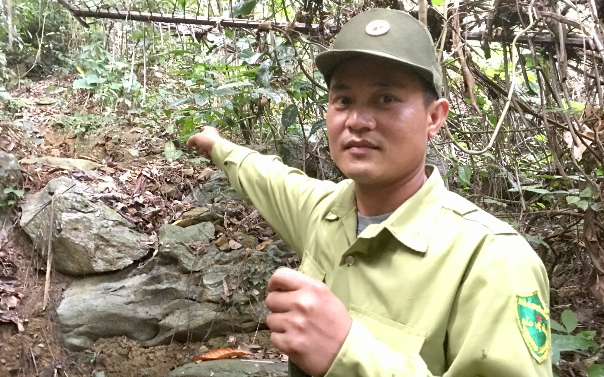 Bảo vệ rừng Khe Bu: Bất chấp "lâm tặc" trả đũa