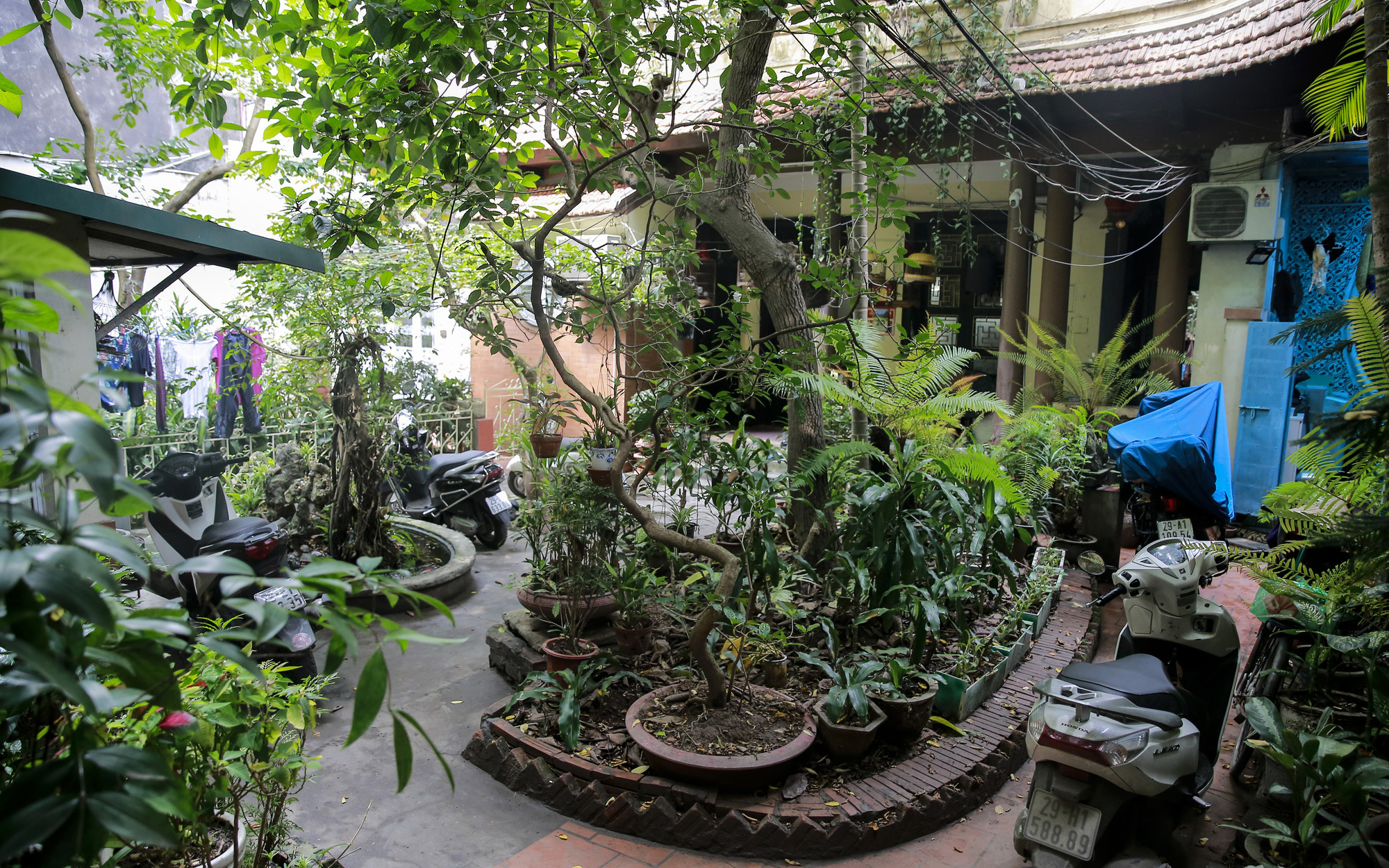 Khám phá ngôi nhà có khu vườn xuyên qua 2 phố duy nhất ở phố cổ Hà Nội