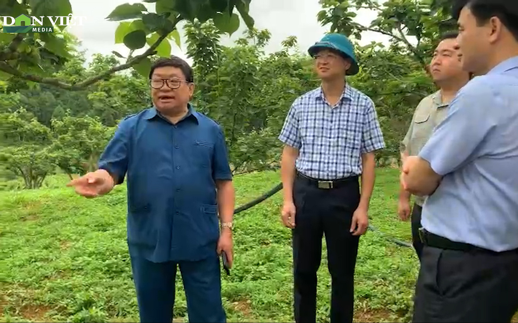 Chủ tịch Hội NDVN thăm mô hình trồng dược liệu, cây ăn quả và nuôi lợn đặc sản ở Lào Cai