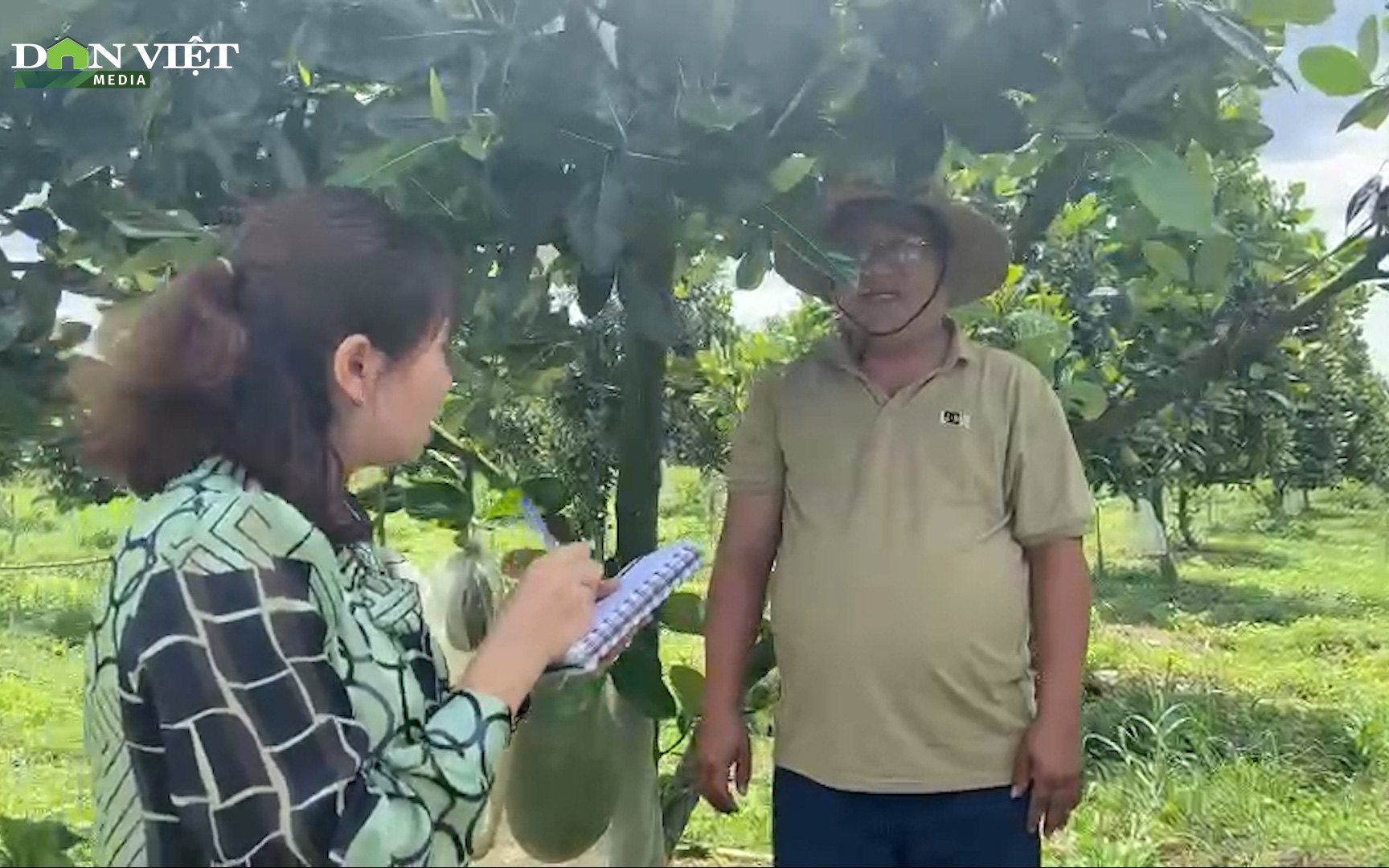 Chàng trai bỏ phố về quê trồng chanh Thái, chỉ vặt lá bán cũng thu tiền tỷ