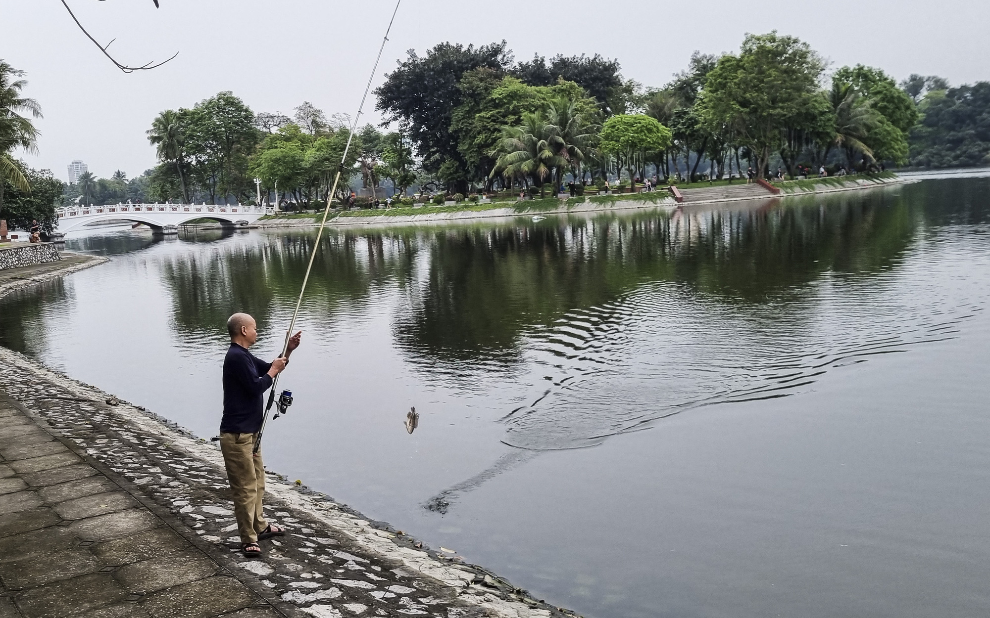 Vì sao “cần thủ” ngang nhiên câu cá trộm ở hồ công viên Thống Nhất?