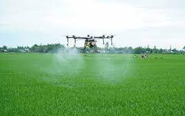 Hải Dương: Dùng máy bay không người lái phun thuốc trừ sâu cho lúa, vừa giảm chi phí vừa bảo vệ sức khỏe nông dân
