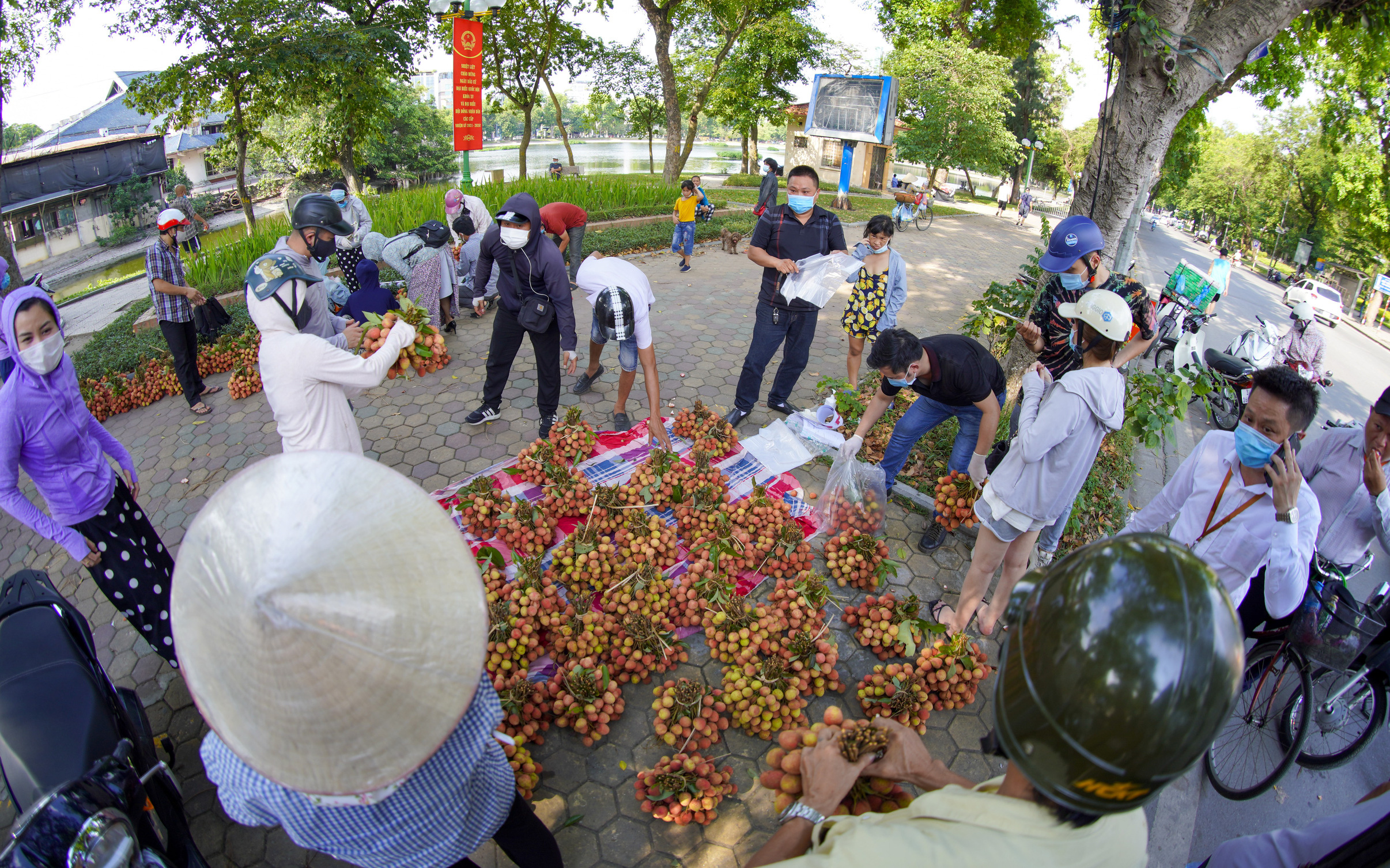 Dịch Covid-19: Vải Bắc Giang "vượt ải" về Hà Nội, người dân hào hứng ủng hộ