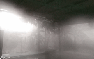 Video: Lốc xoáy làm tốc mái hàng chục nhà Quảng Trị, sập 2 lán trại chống dịch của biên phòng