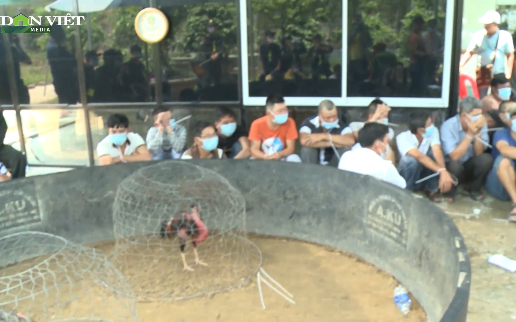 Video: Phá "trường gà” quy mô lớn ở Huế, bắt quả tang 47 con bạc đang sát phạt 