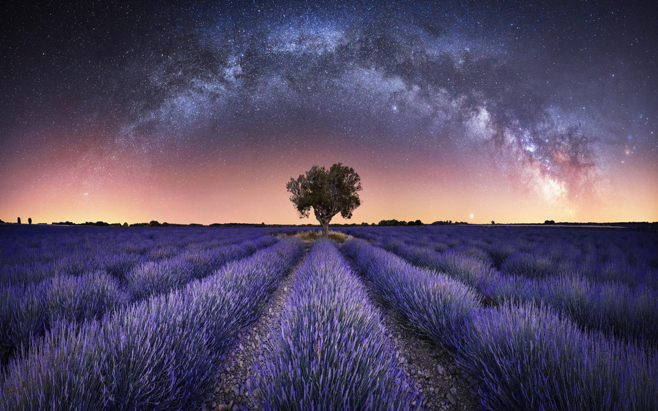 Dải ngân hà lơ lửng ngay trên cánh đồng hoa oải hương vào top giải nhiếp ảnh thiên văn của năm