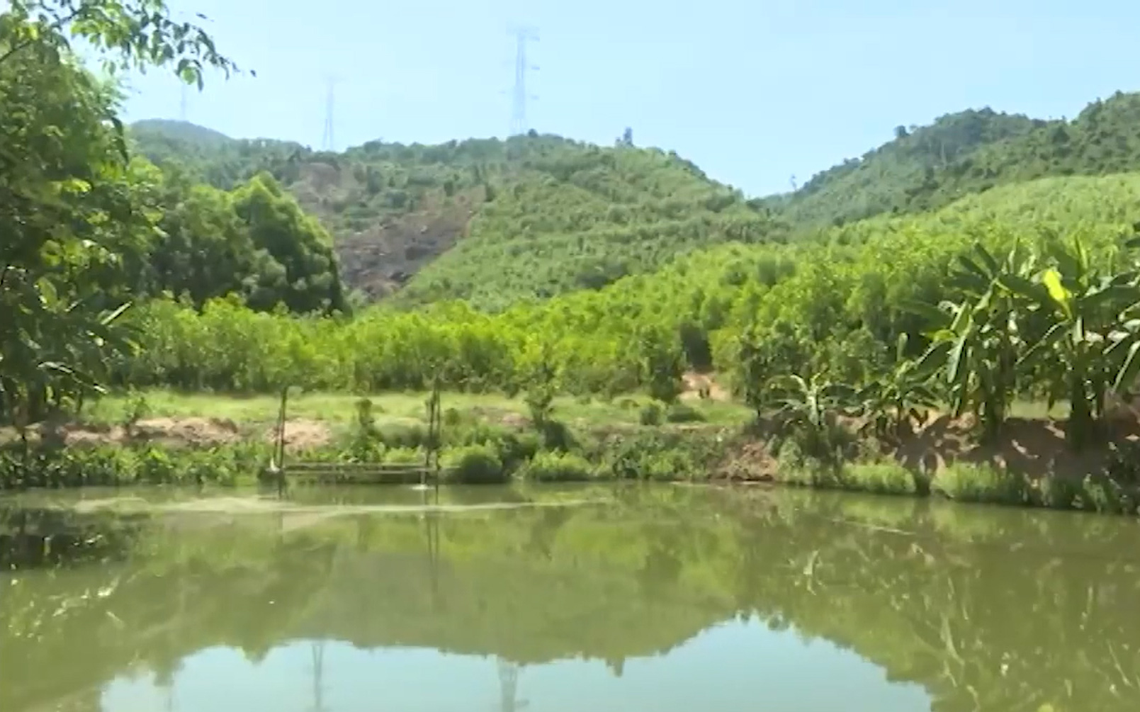 Thừa Thiên-Huế: Tận dụng địa thế gò đồi miền núi, ông nông dân phát triển mô hình vườn-ao-chuồng-rừng cho hiệu quả cao