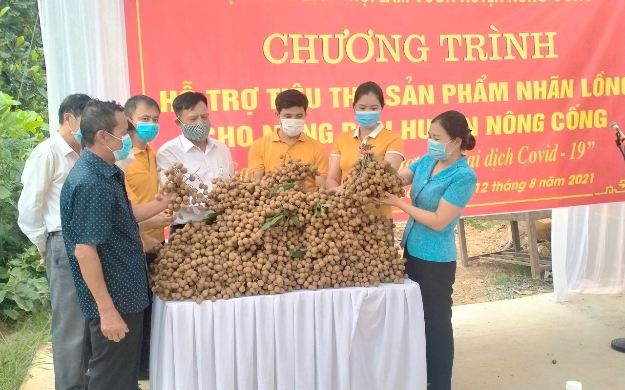 Thanh Hoá: Hội Nông dân huyện Nông Cống kết nối tiêu thụ 35 tấn nhãn cho hội viên