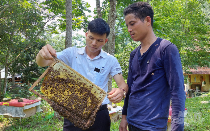 Thanh Hoá: Xã miền núi đẩy mạnh hiệu quả mô hình nuôi ong lấy mật