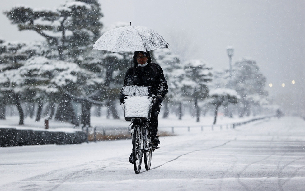 Hình ảnh tuyết rơi trắng xóa trung tâm Tokyo