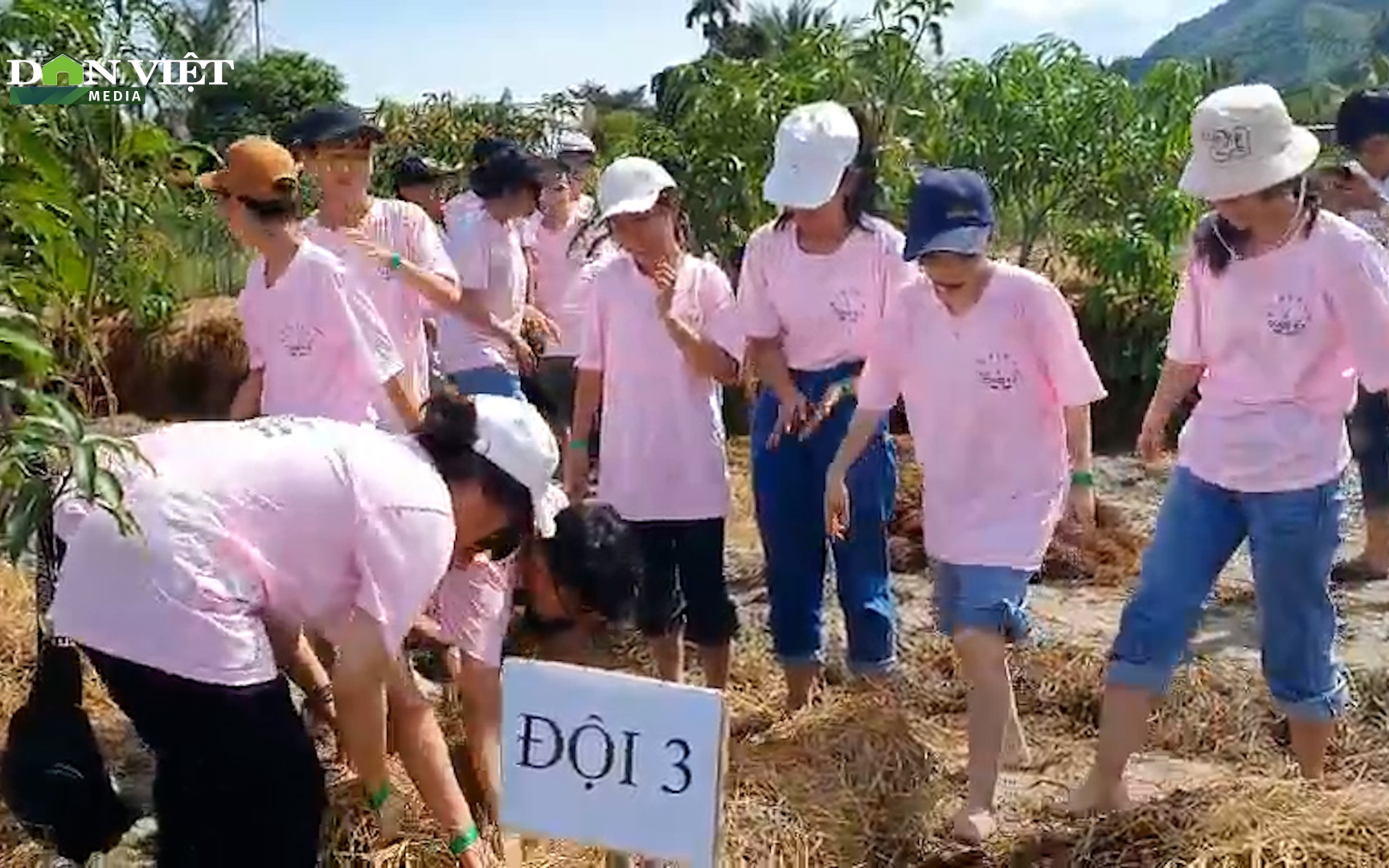 Khánh Hòa: Học sinh háo hức khi được trải nghiệm một ngày làm nông dân 