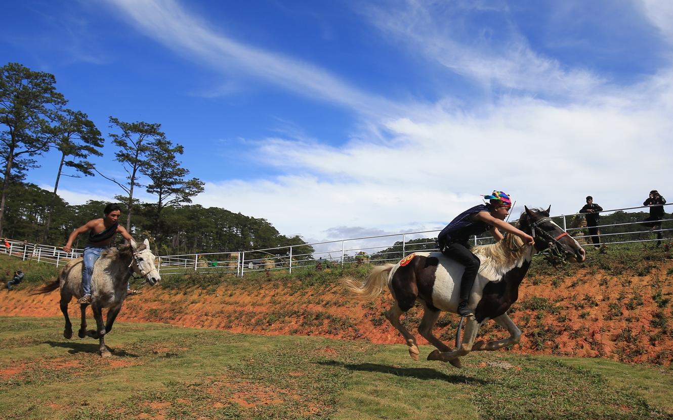 Giải đua ngựa không yên, bảo hộ bằng mũ bảo hiểm tại Lâm Đồng