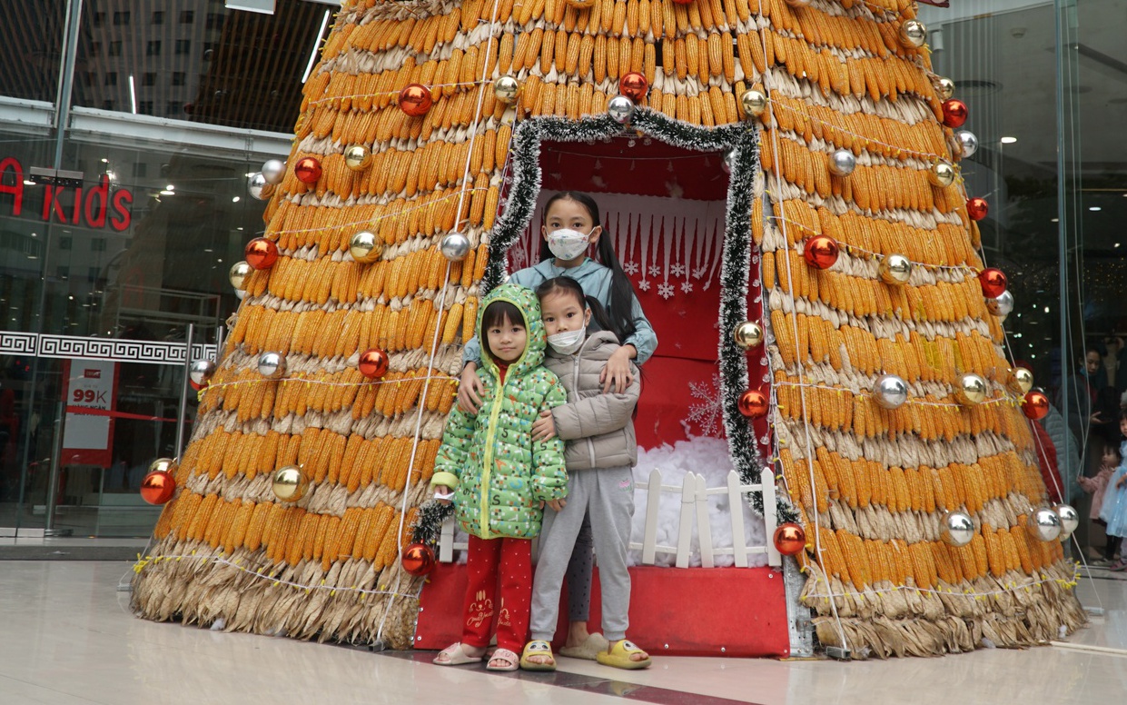 Hà Nội: Độc đáo cây thông Noel làm từ… 8000 bắp ngô