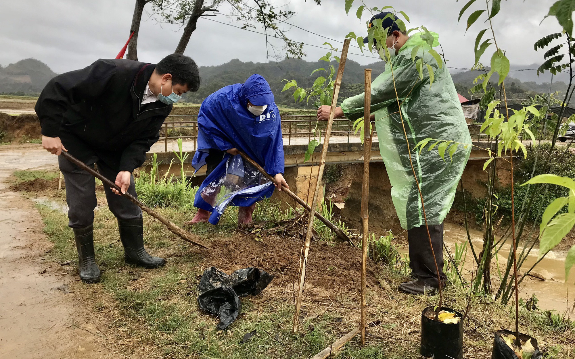 Sơn La: Phát động hưởng ứng Chương trình trồng 1 tỷ cây xanh "Vì một Việt Nam xanh"