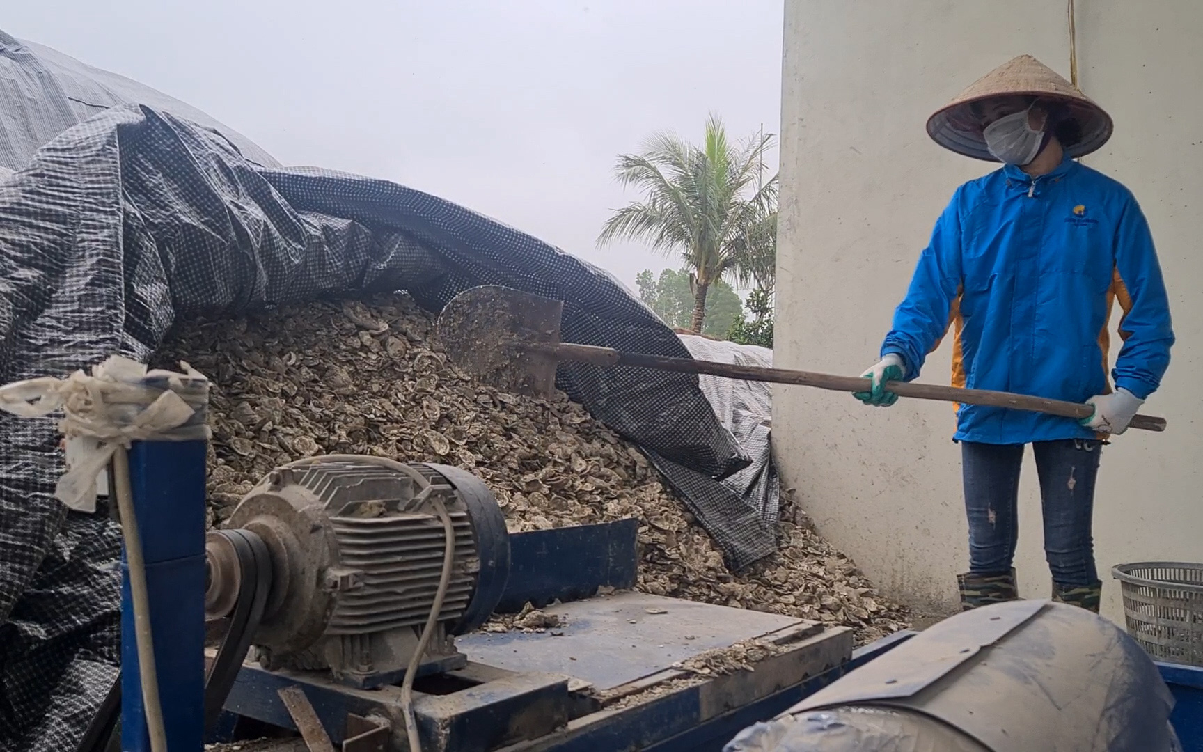 Khám phá dây chuyền chế biến vỏ hàu sữa thành thức ăn chăn nuôi đầu tiên tại Quảng Ninh