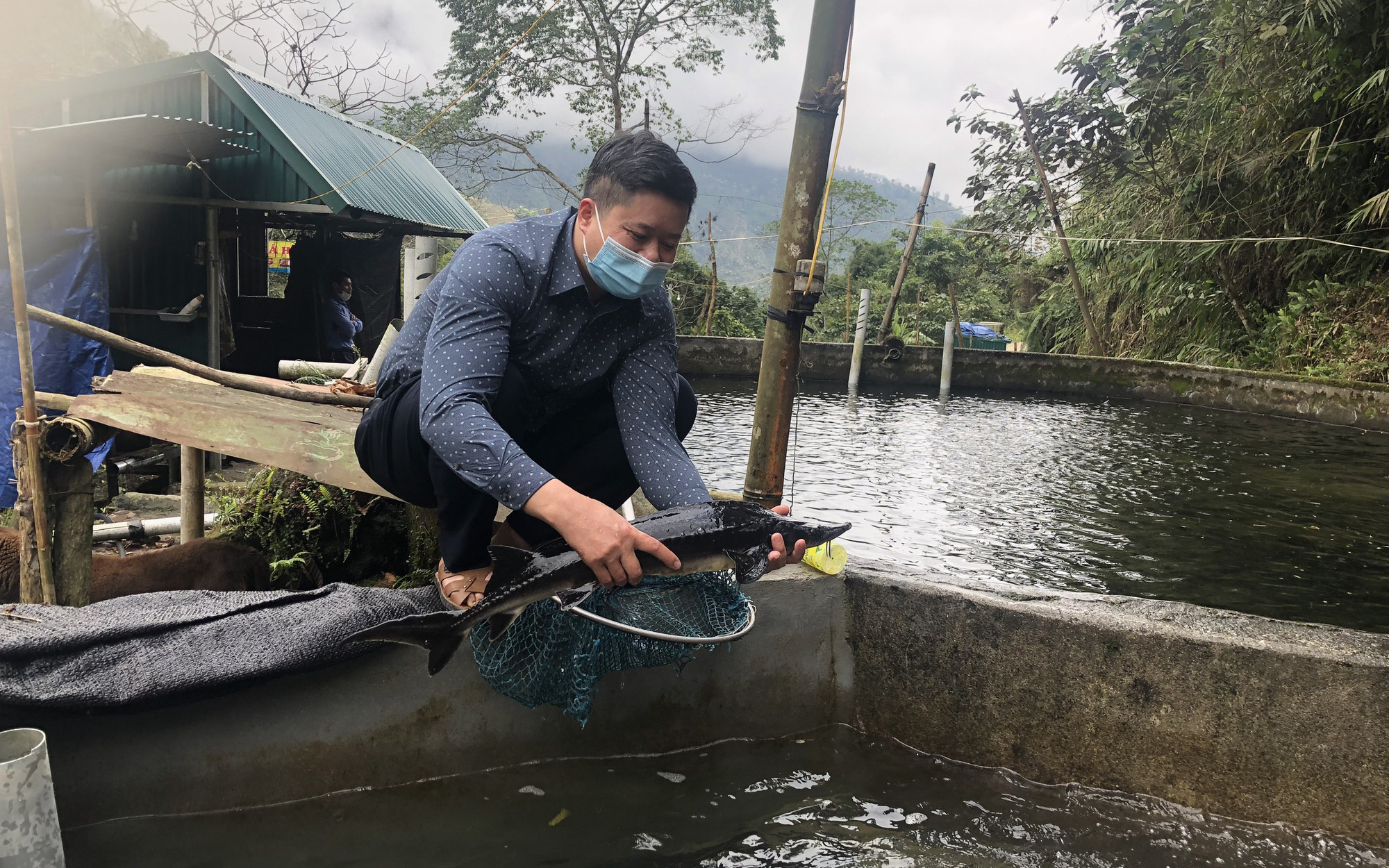 Độc đáo mô hình nuôi cá tầm và cá hồi trên “nóc nhà” Đông Bắc Việt Nam