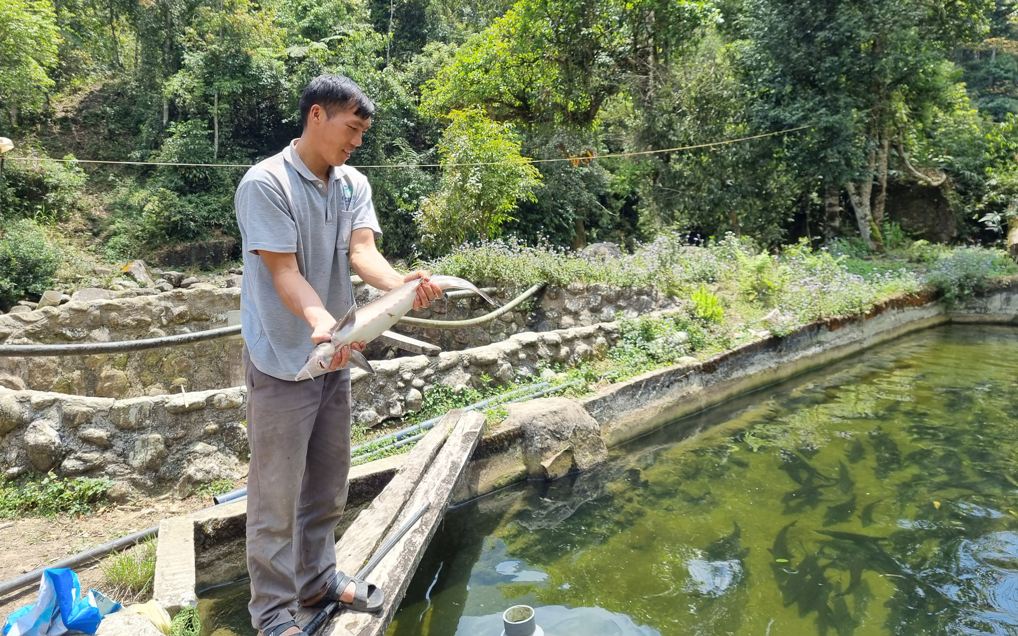 Có đồng vốn tiếp sức nuôi cá nước lạnh, hội viên nông dân Dền Thàng thành triệu phú