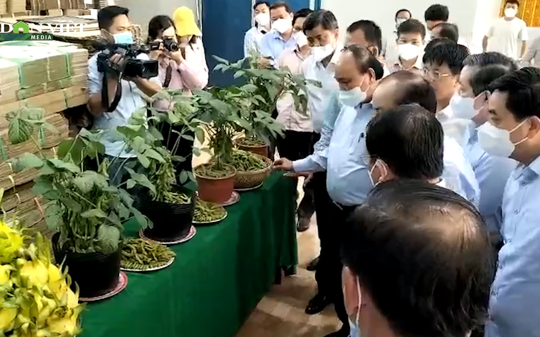 Chủ tịch nước Nguyễn Xuân Phúc thăm vùng thanh long nổi tiếng ở Tiền Giang