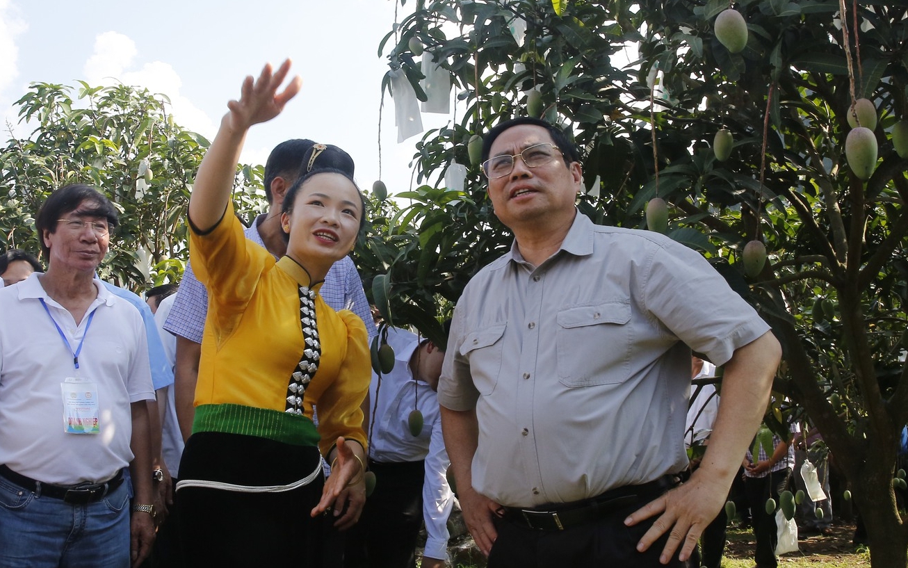 Video: Những kỳ vọng khi Thủ tướng Phạm Minh Chính đối thoại với nông dân