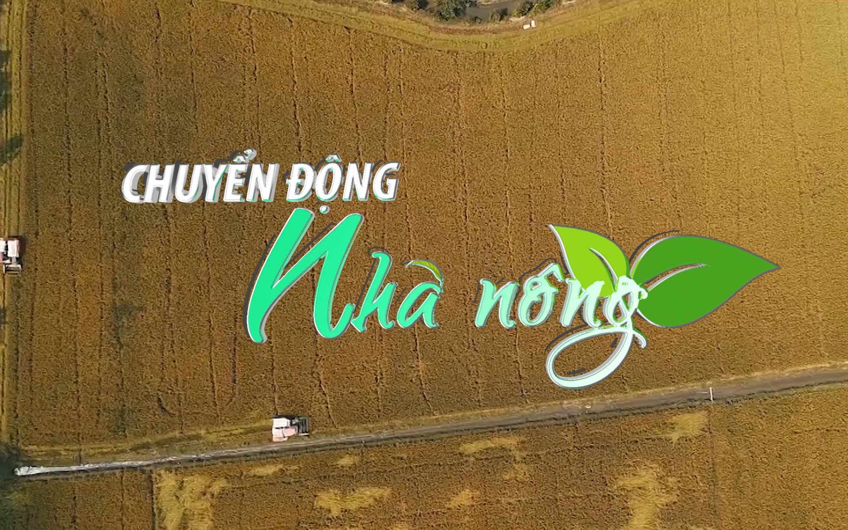 Chuyển động Nhà nông 21/7: Xuất khẩu gạo của Việt Nam sẽ tiếp tục vượt Thái Lan trong năm nay?