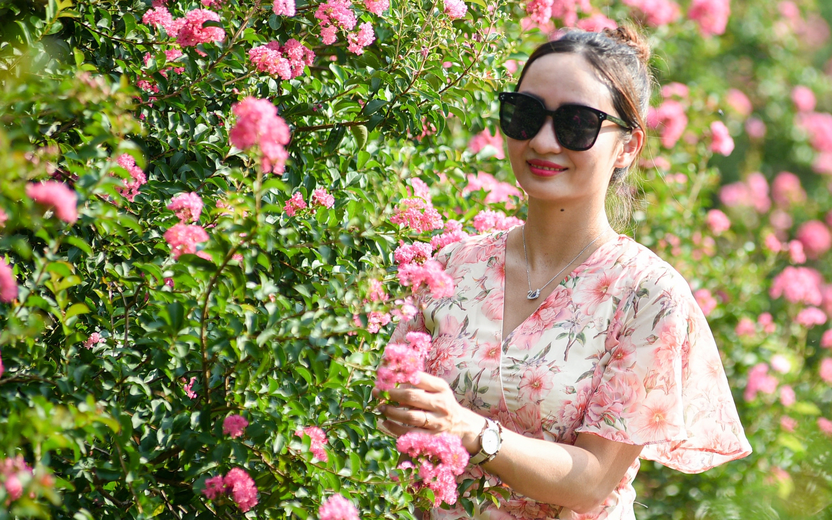 Khu vườn với 30 gốc hoa tường vi đẹp như truyện cổ tích ngay giữa lòng Hà Nội