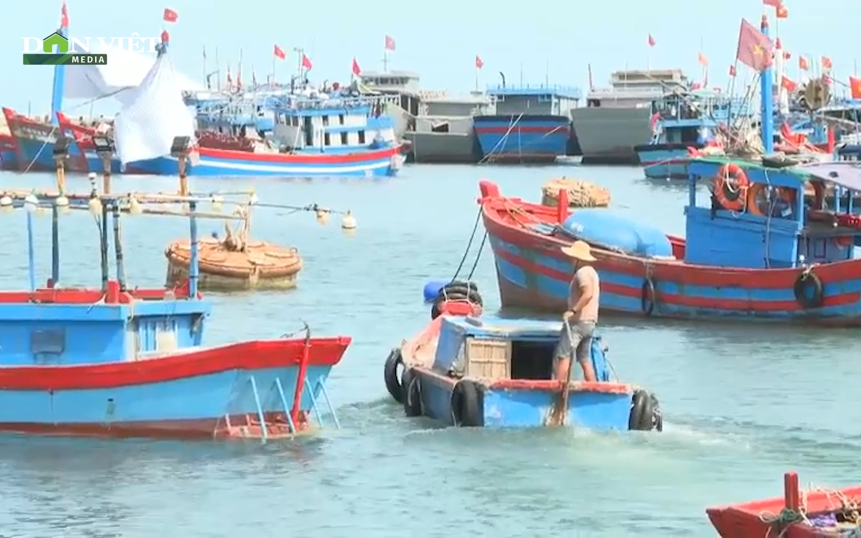 Quảng Ngãi: Tàu cá đánh bắt gần bờ phớt lờ đăng kiểm, ngư dân làm khó cấp ngành?