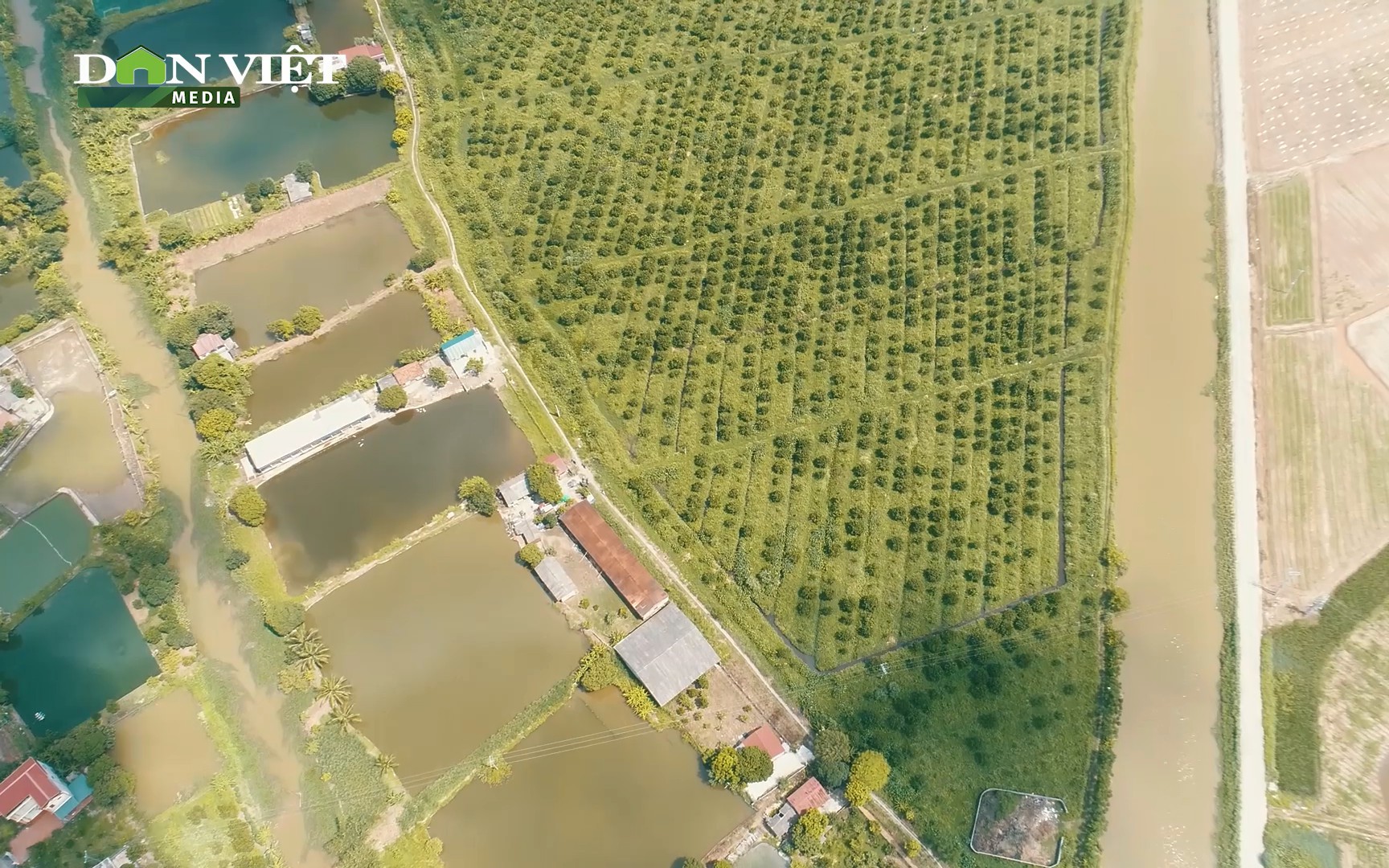 Video: Một ngày thử làm nông dân tại trang trại cây ăn quả VietGAP lớn nhất Bắc Ninh