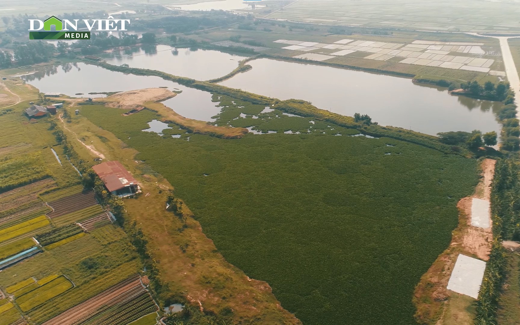 Huyện Yên Phong (Bắc Ninh): Sai phạm chồng chất tại dự án vườn ao chuồng, ai phải chịu trách nhiệm? 
