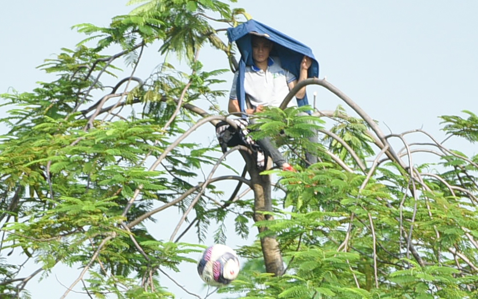 Khán giả trèo lên ngọn cây xem trận chung kết bóng đá 7 người vô địch toàn quốc năm 2022