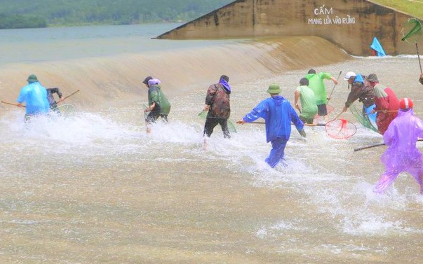 Hà Tĩnh: Người dân "đánh cược mạng sống" săn cá bay giữa dòng nước lũ