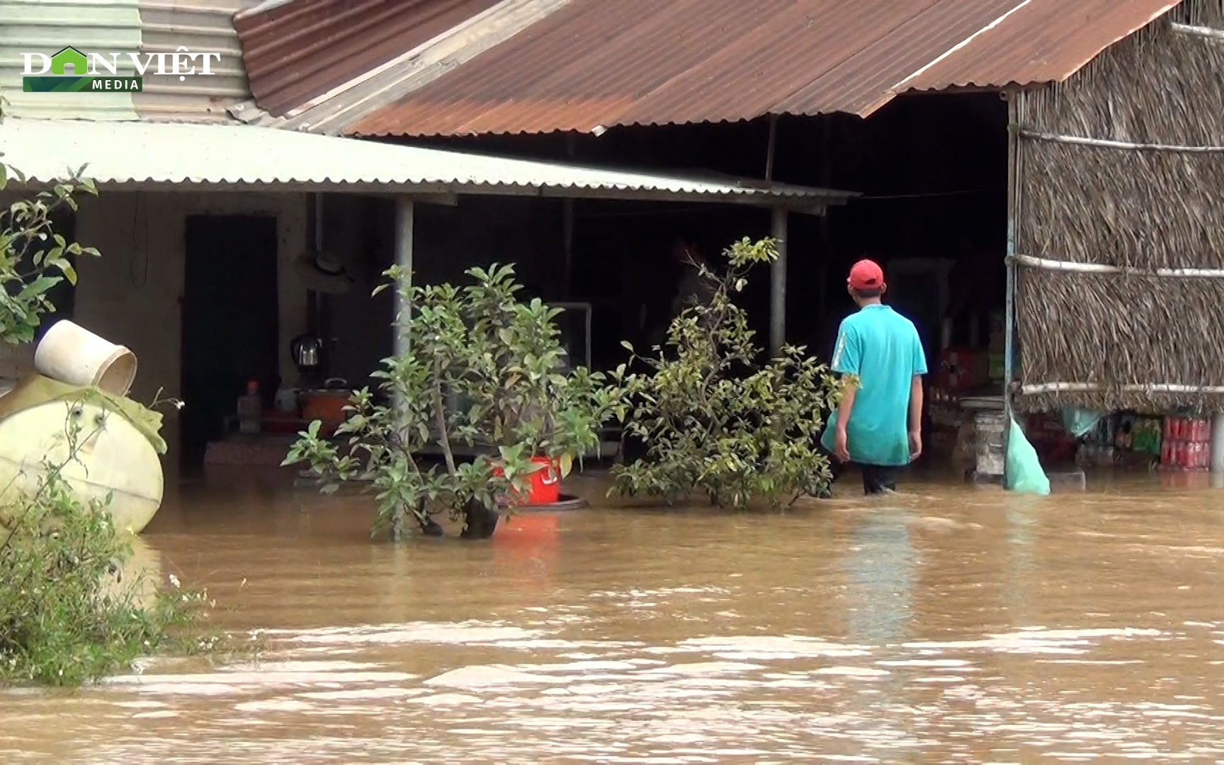 Lũ cuồn cuộn dâng, nhiều nhà dân và trường học ở Đồng Nai chìm trong biển nước