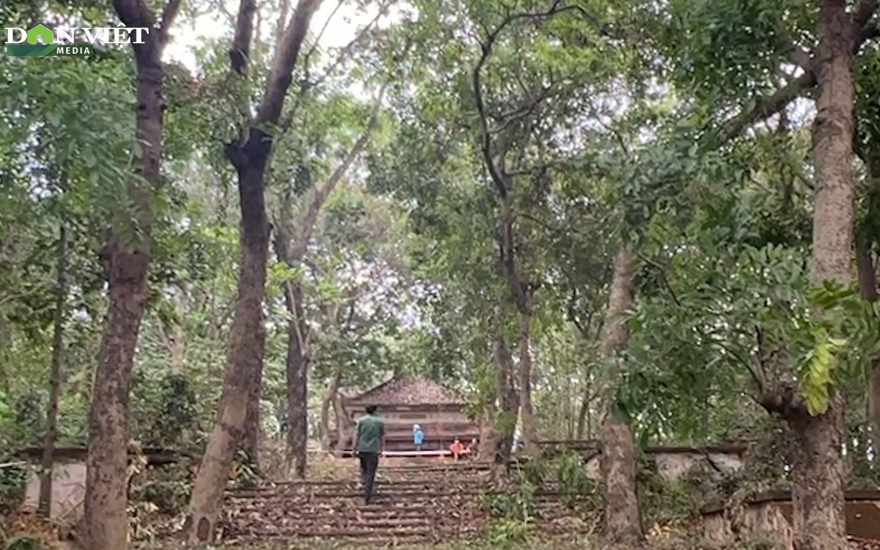 Video: Tá hỏa phát hiện người đàn ông tử vong trong tư thế treo cổ trên cây khi viếng đền 