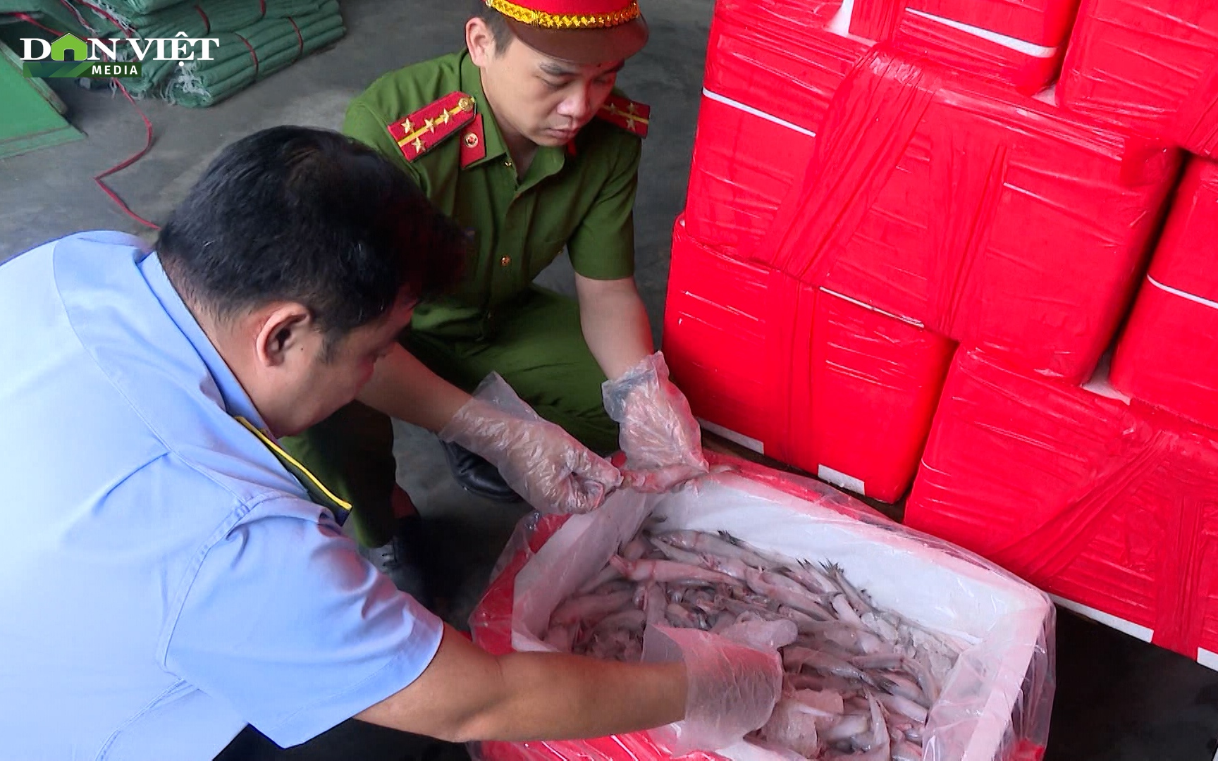 Video: Cận cảnh hơn 4,5 tấn cá khoai ướp formol bị bắt ở Thanh Hoá