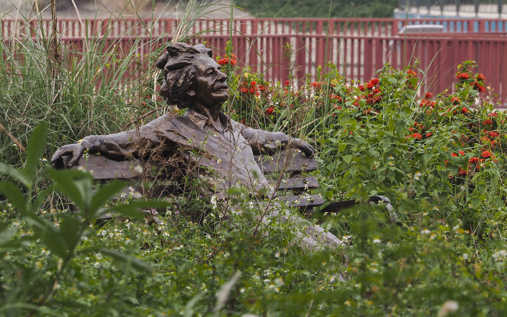 Tượng Albert Einstein "cô đơn", cỏ mọc ngang mặt trong công viên Thiên văn học ở Hà Nội