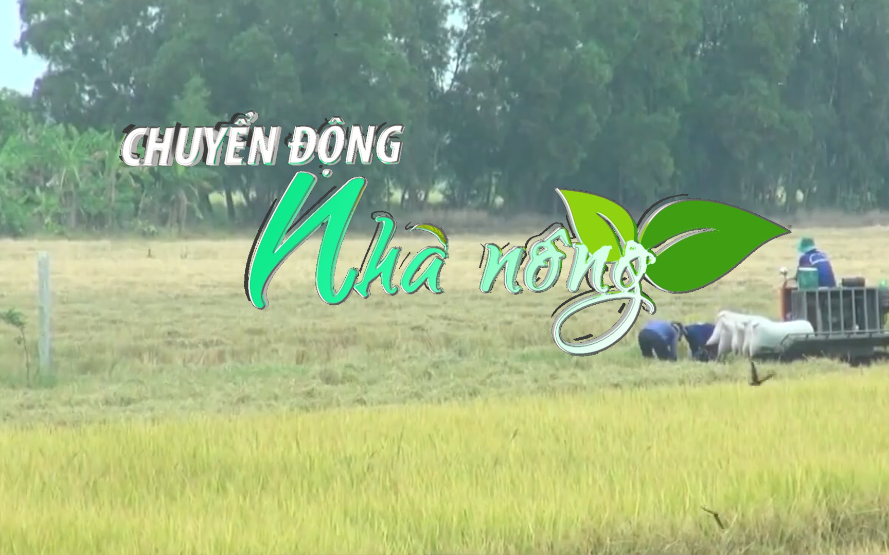 Chuyển động Nhà nông 11/11: 75.000 nông dân Kiên Giang được hưởng lợi từ dự án TRVC