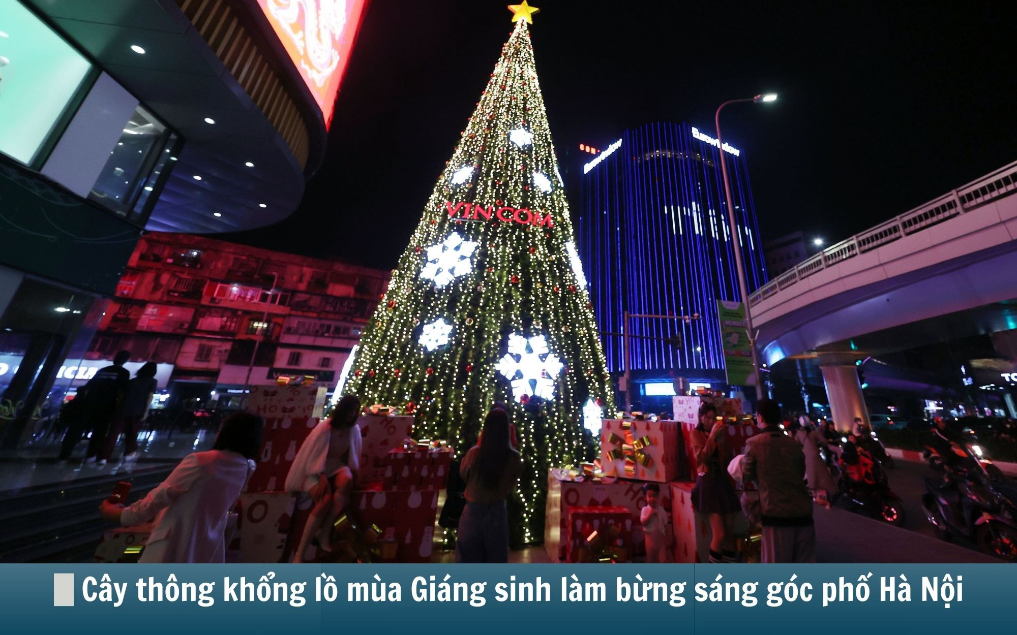 Hình ảnh báo chí 24h: Hàng loạt cây thông khổng lồ mùa Giáng sinh làm bừng sáng góc phố Hà Nội