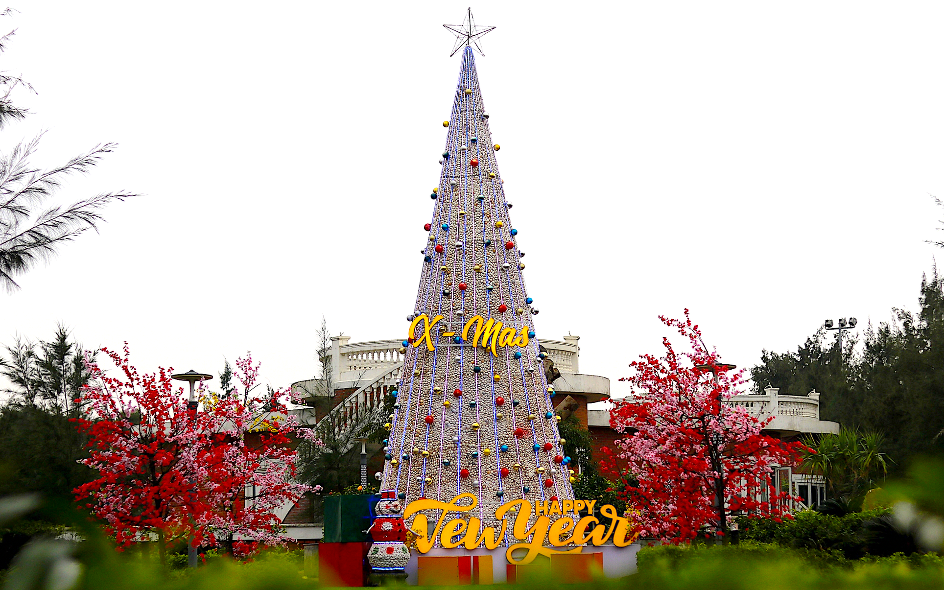 Cây thông Noel ở Hà Tĩnh được trang trí từ 100.000 vỏ sò khiến nhiều người thích thú